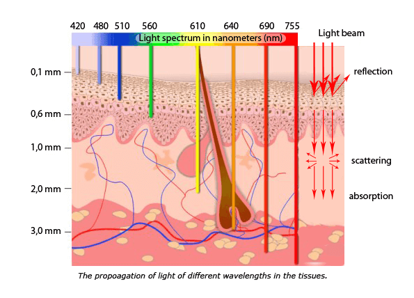 of wavelength penetration laser Effect in