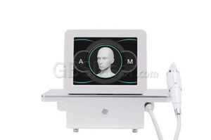 micro needle fractional RF portable